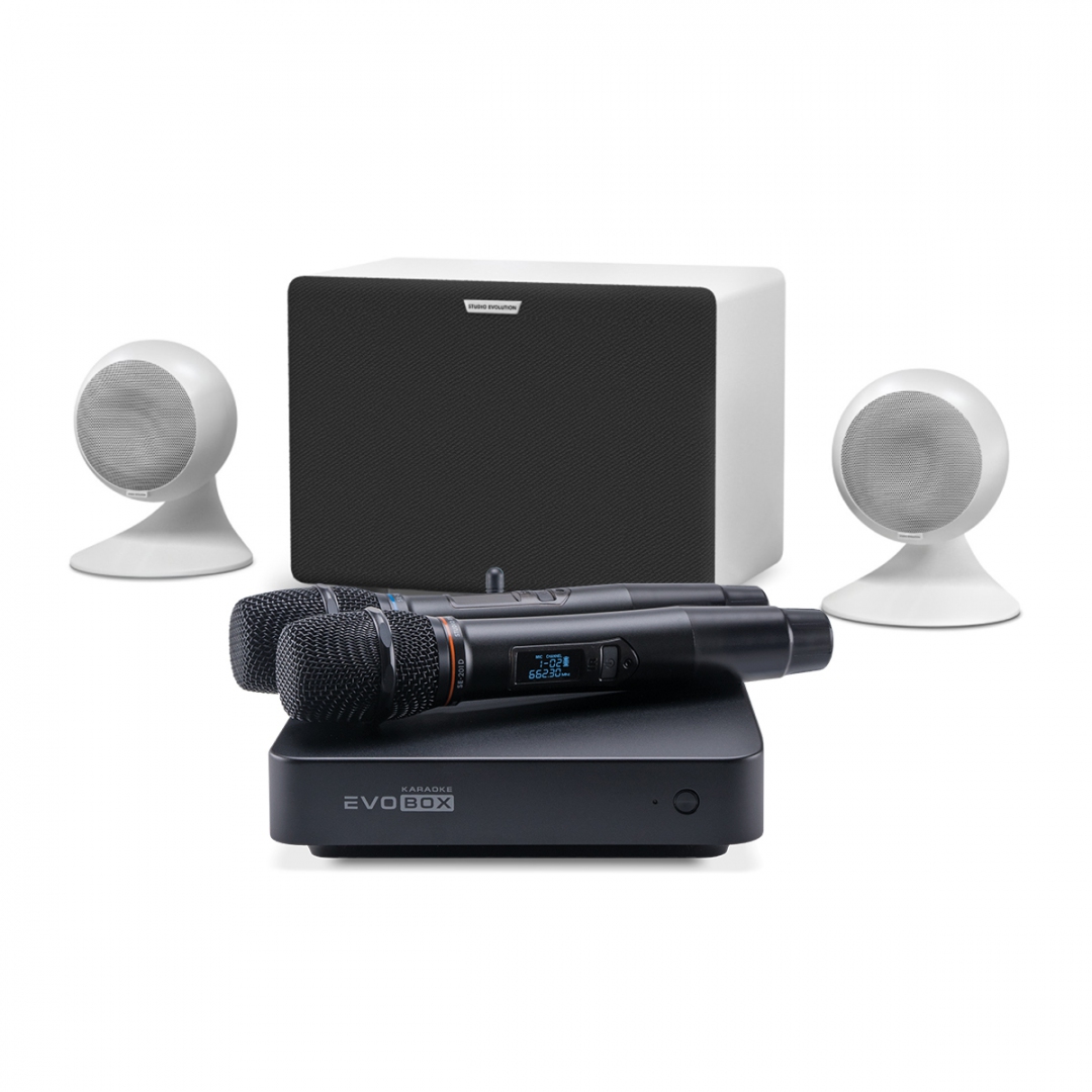 караоке-комплект EVOBOX Classic + EvoSound Sphere 2.1 в Вышнем Волочке